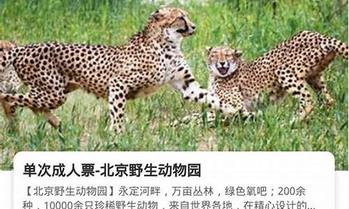 北京动物园预约平台_北京动物园预约平台官